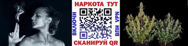 МЕФ Шацк