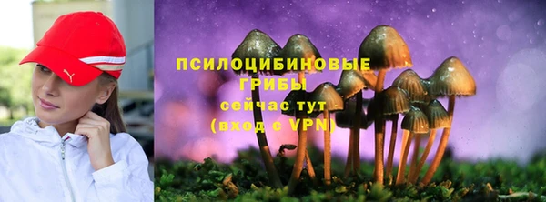 амфетамин Ладушкин