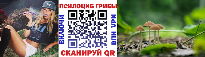 Галлюциногенные грибы мухоморы  магазин продажи   блэк спрут зеркало  Шацк 